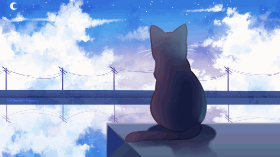 Cat Animation Cat Animation