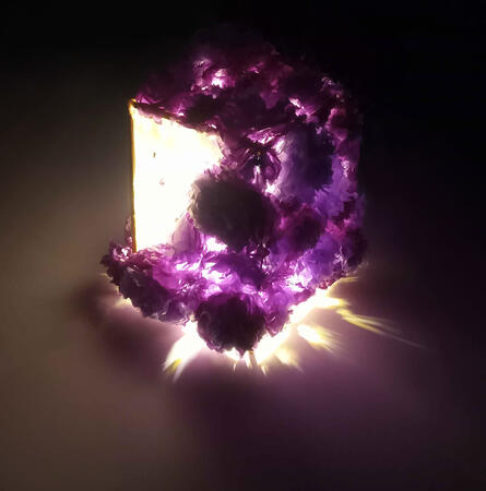 A19 Light Bulb